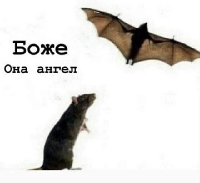 Завтра у дички выходной