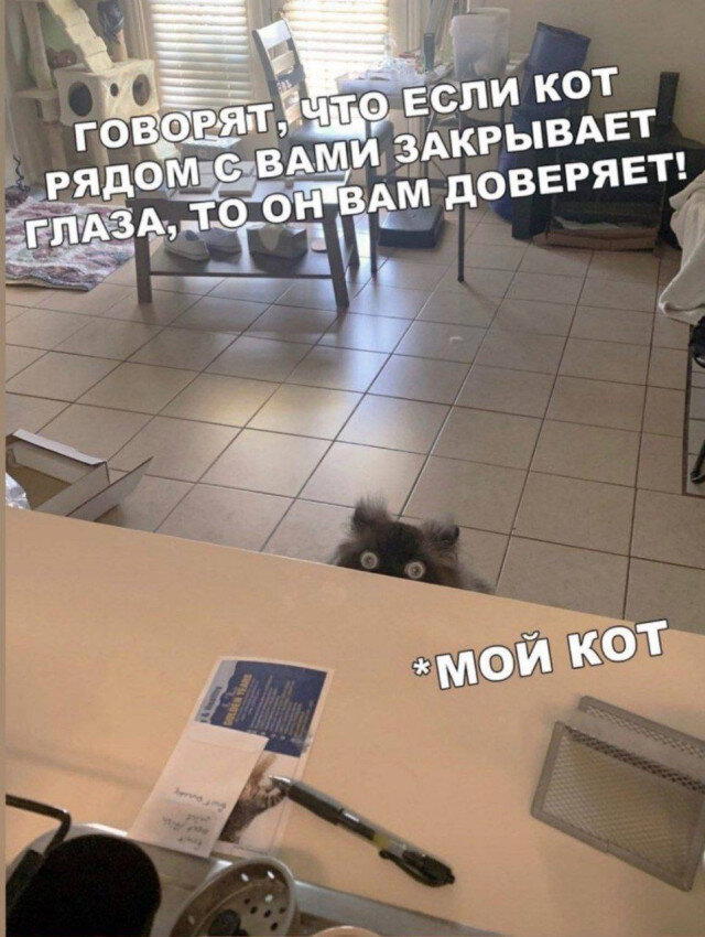 Завтра у дички выходной