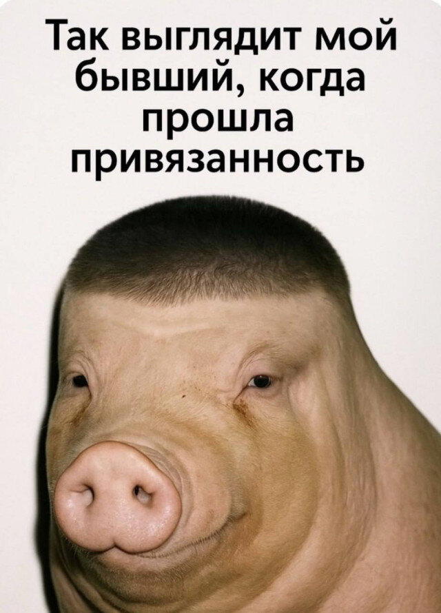 Завтра у дички выходной