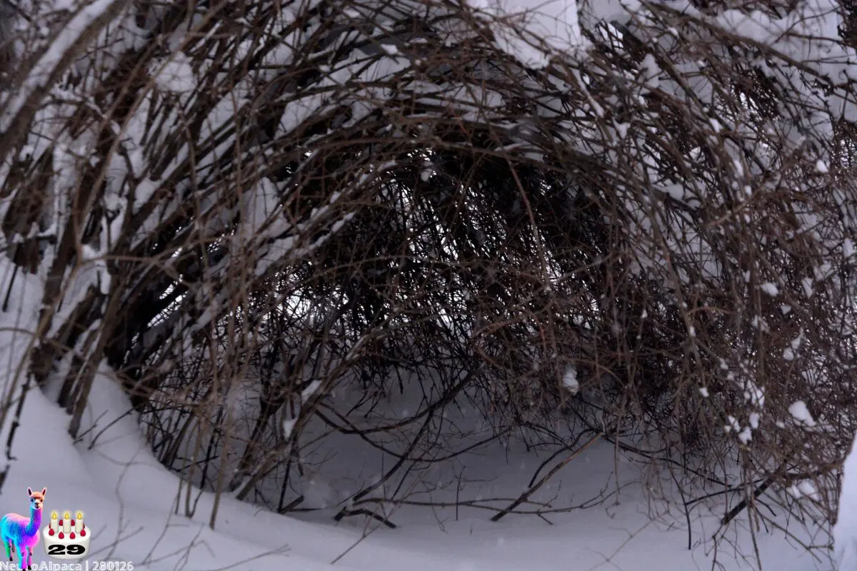 280126•10592/С 29-летием меня пост