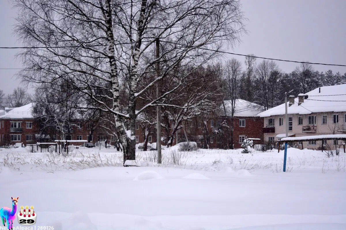 280126•10592/С 29-летием меня пост