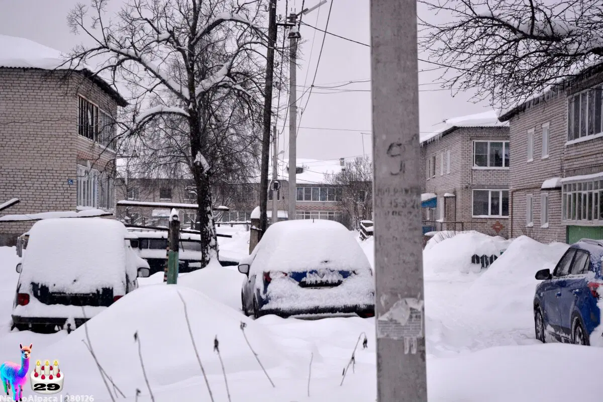 280126•10592/С 29-летием меня пост