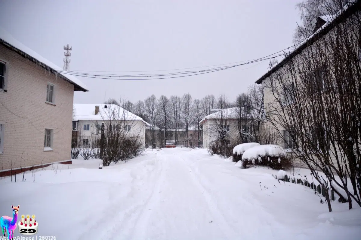 280126•10592/С 29-летием меня пост