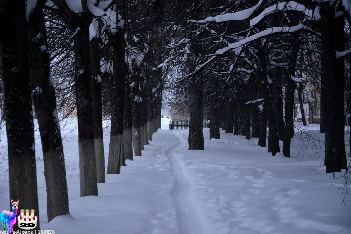 280126•10592/С 29-летием меня пост