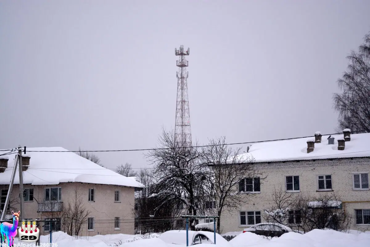 280126•10592/С 29-летием меня пост