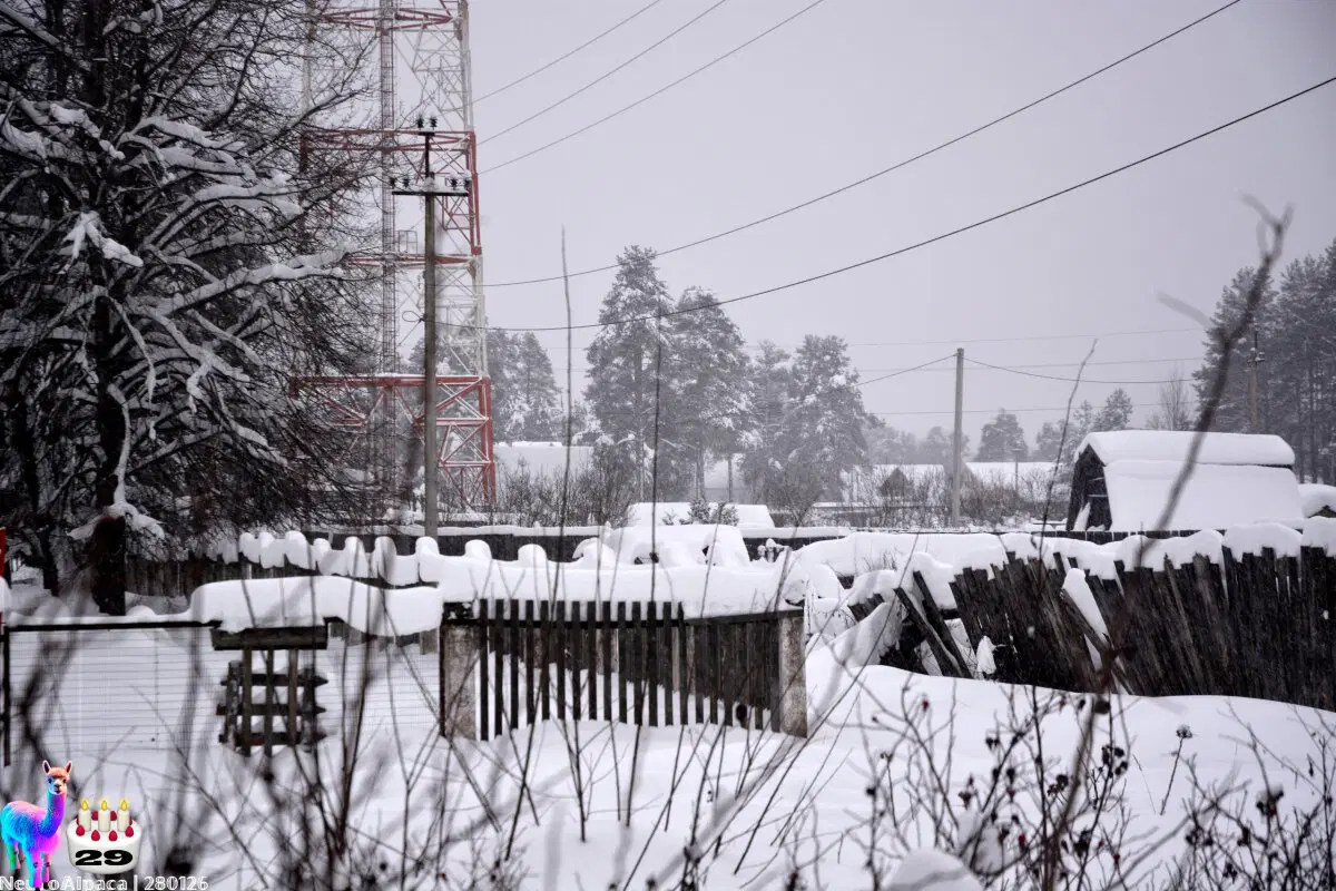 280126•10592/С 29-летием меня пост