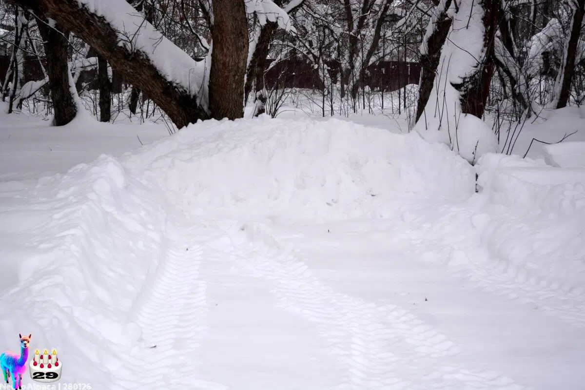 280126•10592/С 29-летием меня пост