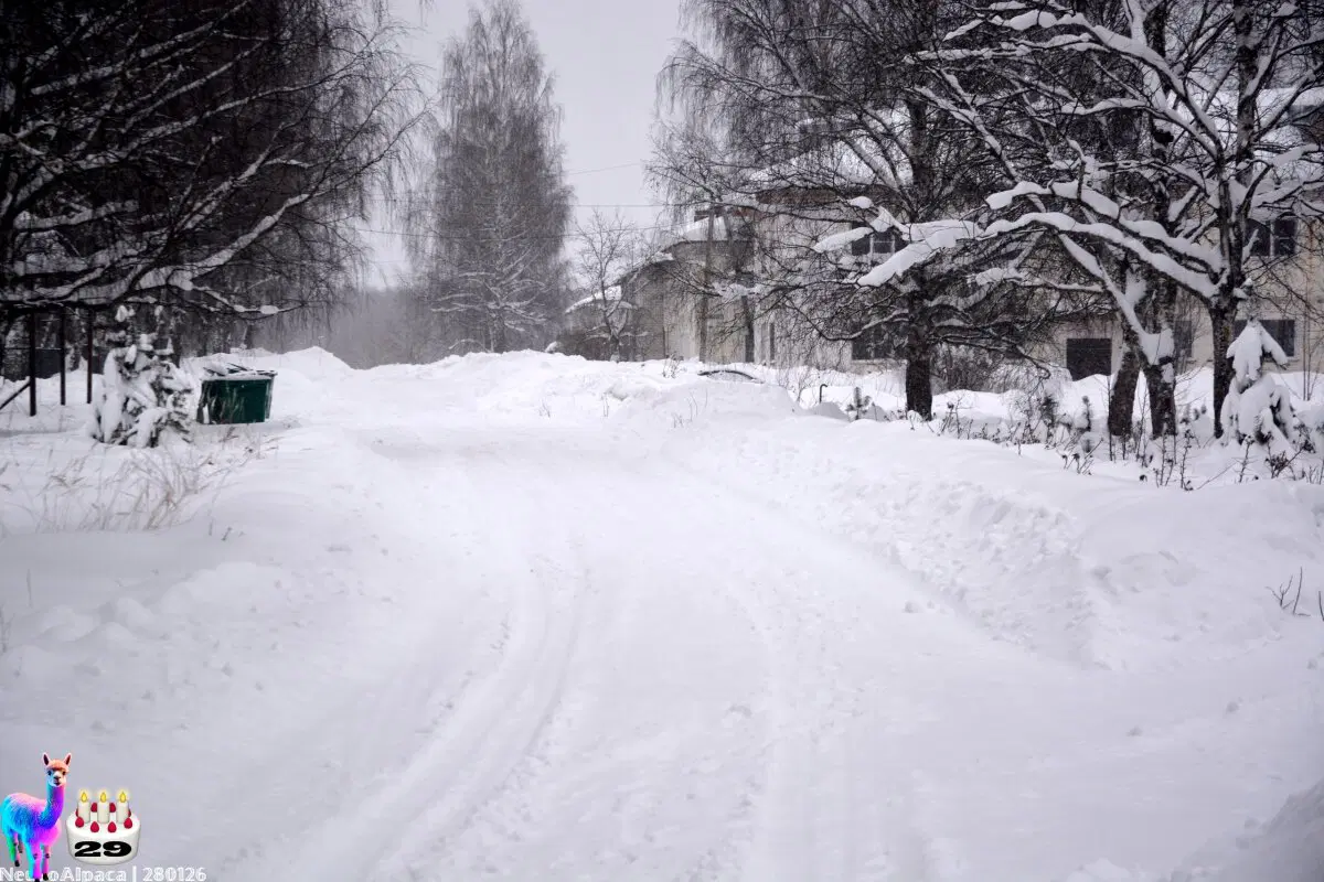 280126•10592/С 29-летием меня пост