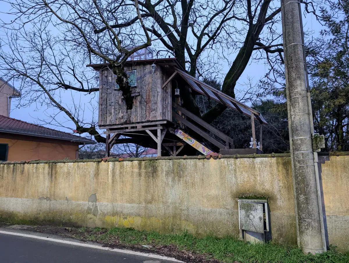 На окраине поселка увидел интересный домик на дереве. Мне бы такой в детстве.