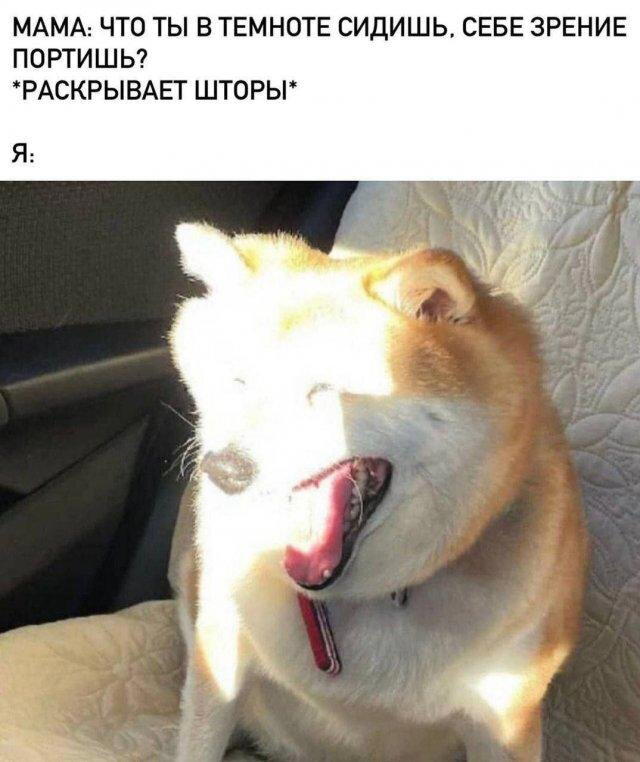 Дичка дичка пятницы сестричка