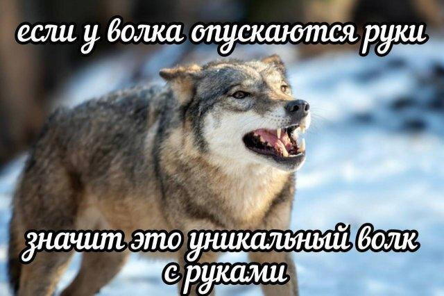 Дичка дичка пятницы сестричка