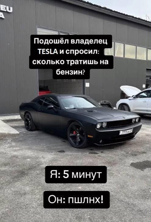 Дичка дичка пятницы сестричка