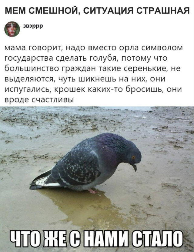 Дичка дичка пятницы сестричка