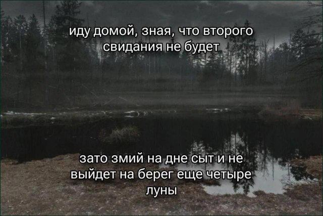 Дичка дичка пятницы сестричка