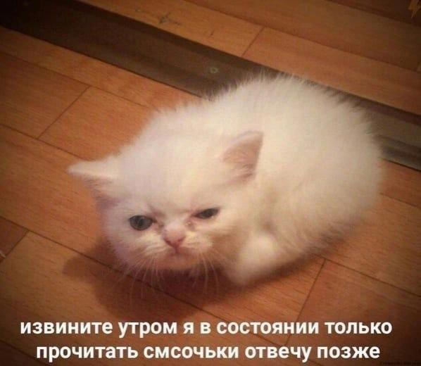 Дичка дичка пятницы сестричка