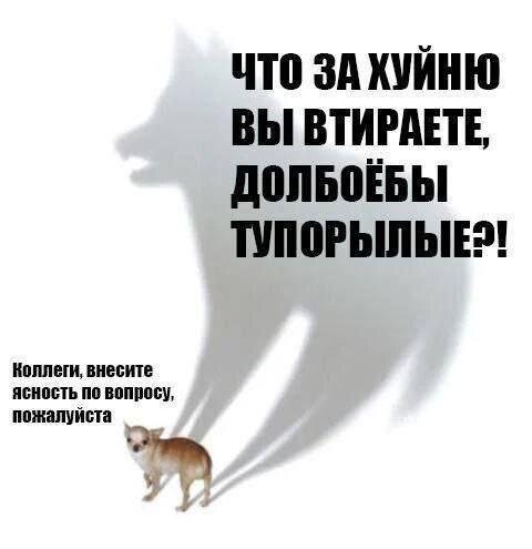 Дичка дичка пятницы сестричка