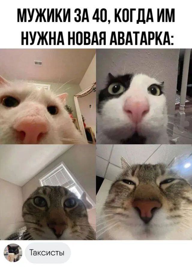 Дичи так дичьки