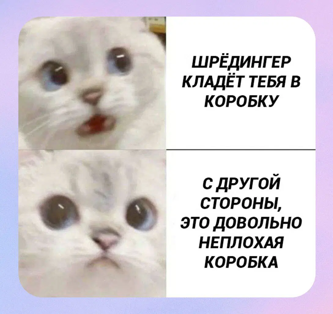 Дичи так дичьки