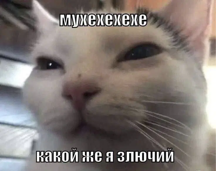 Дичи так дичьки