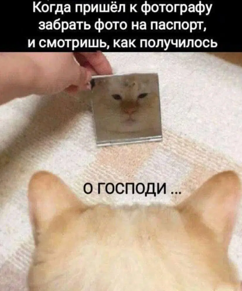 Дичи так дичьки