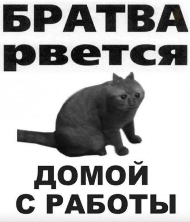 Дичька как рассол на утречко