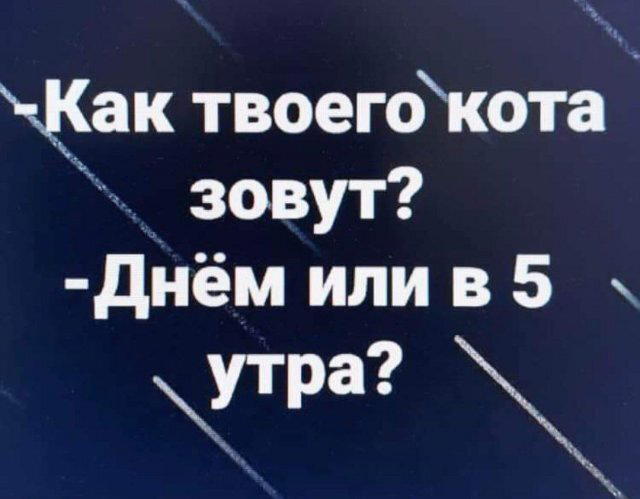 Дичька как рассол на утречко
