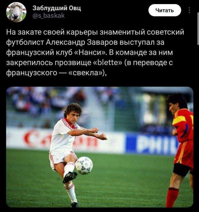 Дичька как рассол на утречко