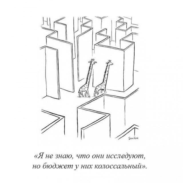 Дичька как рассол на утречко