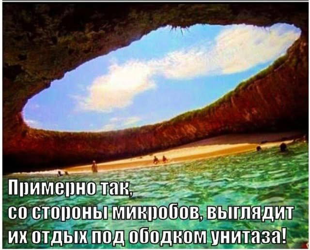 Дичька как рассол на утречко