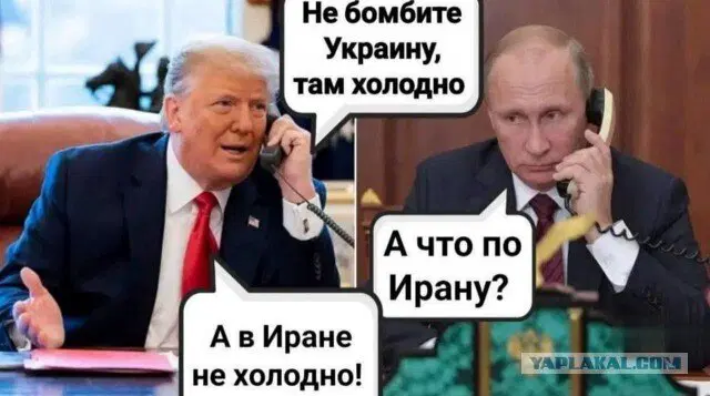 Компот из дички