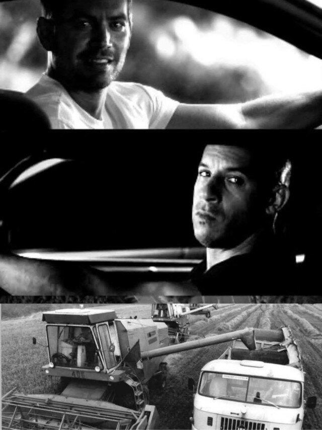 Компот из дички