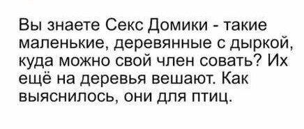 Компот из дички