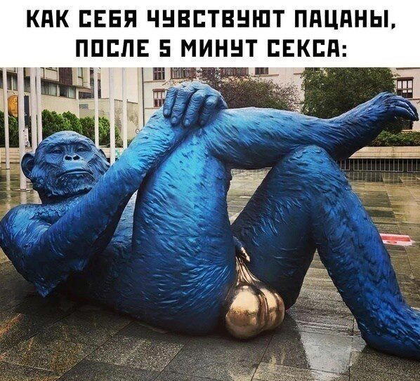 Компот из дички