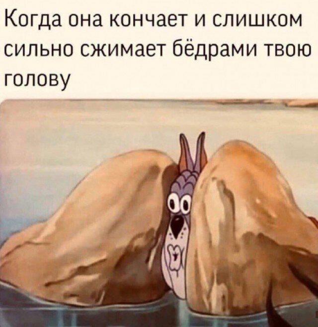 Компот из дички
