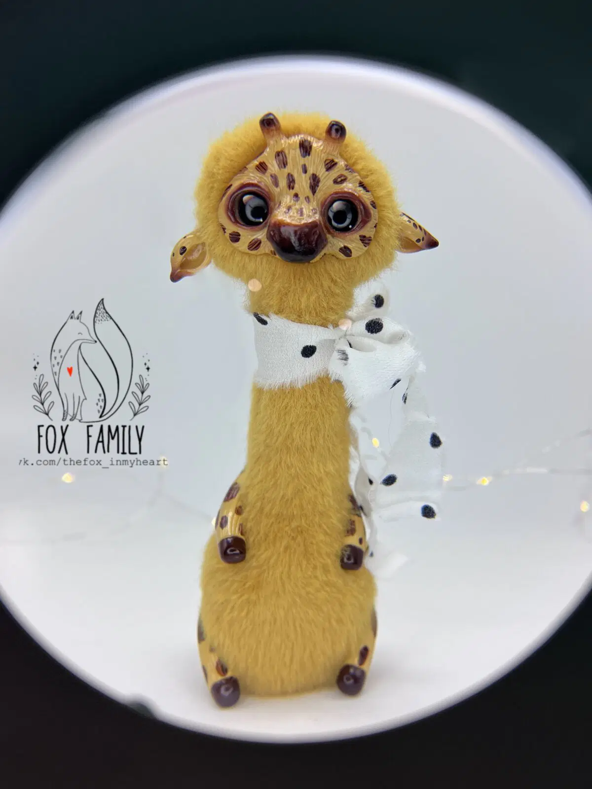 Луи немножко пугливый, но очень добрый и любознательный, любит дыни и прогулки по теплому песку.