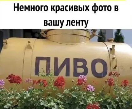 Дичка просто для отдыха