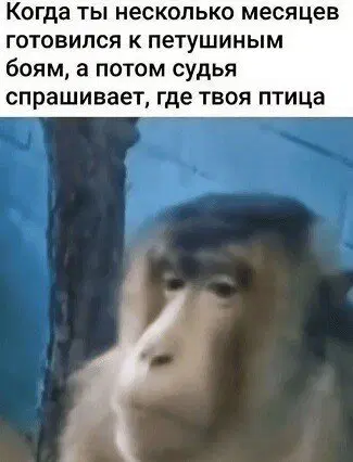 Дичка просто для отдыха