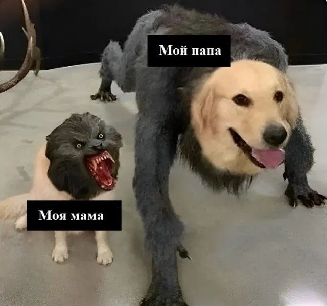 Дичка просто для отдыха