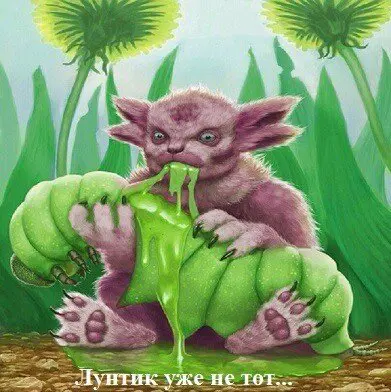 Дичка просто для отдыха