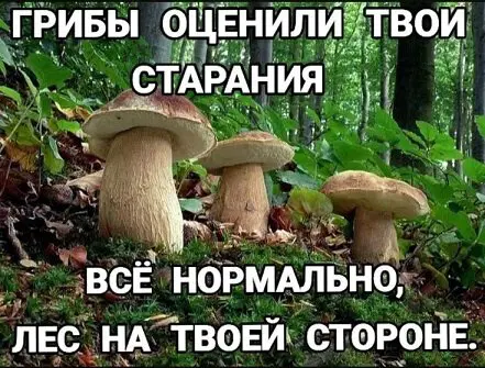 Дичка просто для отдыха