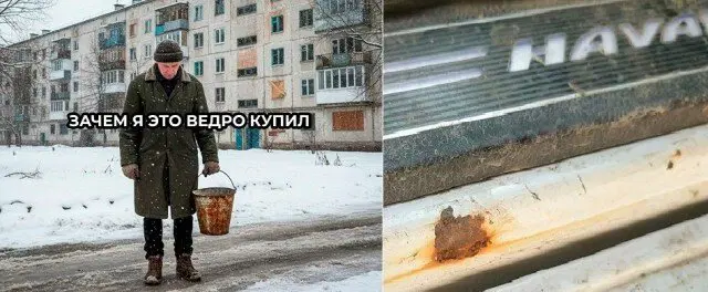Дичка просто для отдыха
