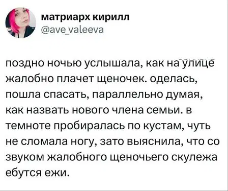 Дичка просто для отдыха