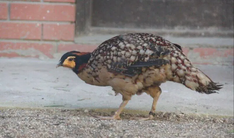 Московский зоопарк установил мировой рекорд по числу представленных видов животных