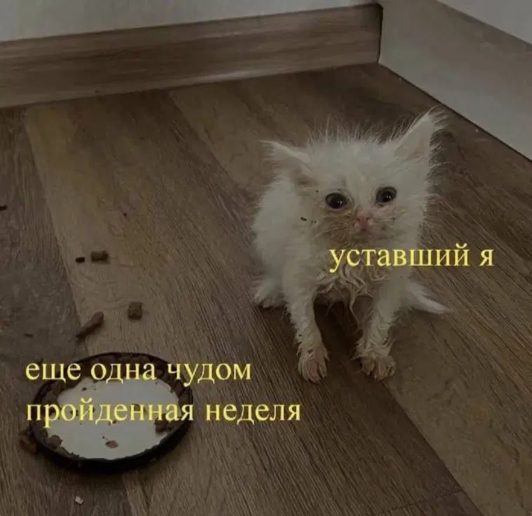 Присядь дружок на ящик дички