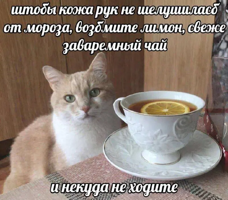 Присядь дружок на ящик дички