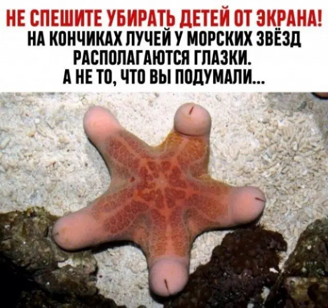 Присядь дружок на ящик дички