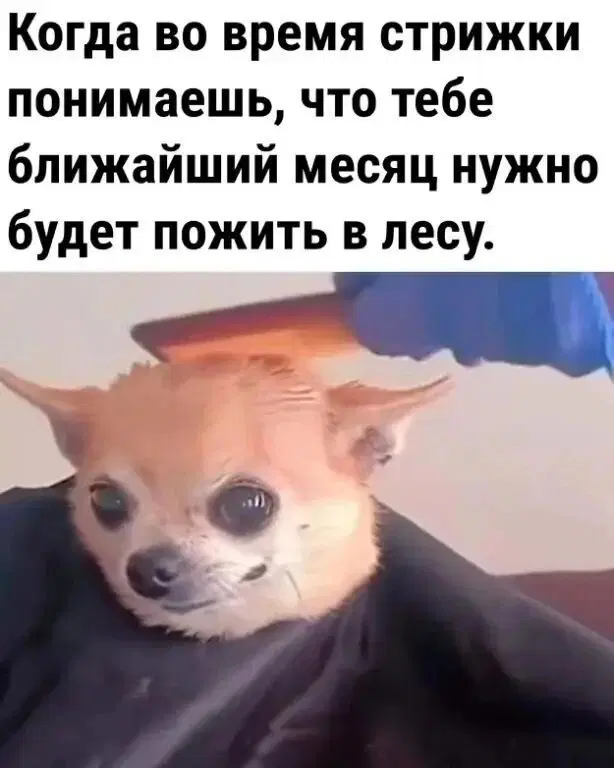 Присядь дружок на ящик дички