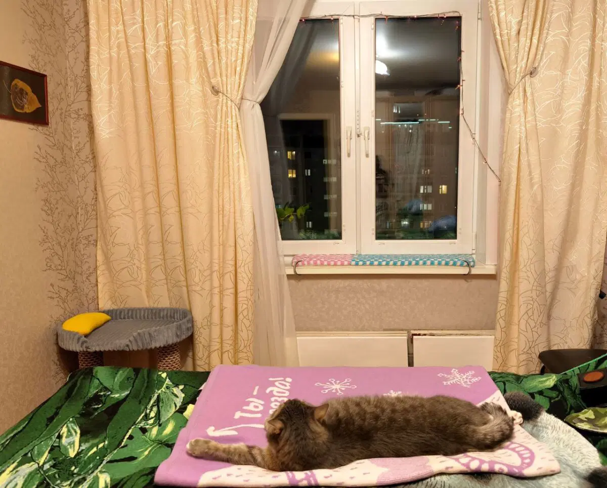 Утро понедельника