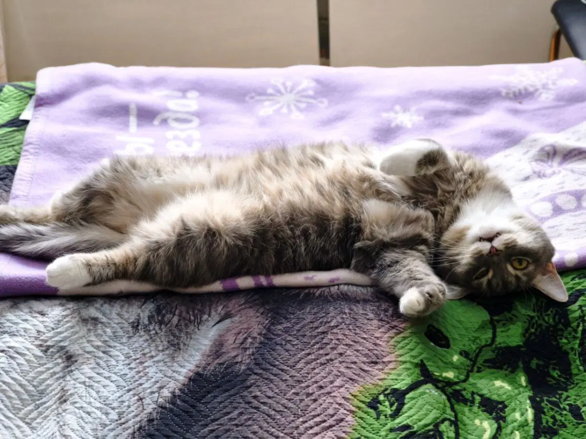 Утро понедельника