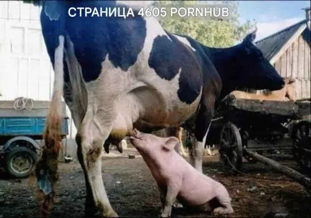 Дичка в танце